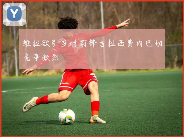 维拉欲引多特前锋吉拉西费内巴切竞争激烈